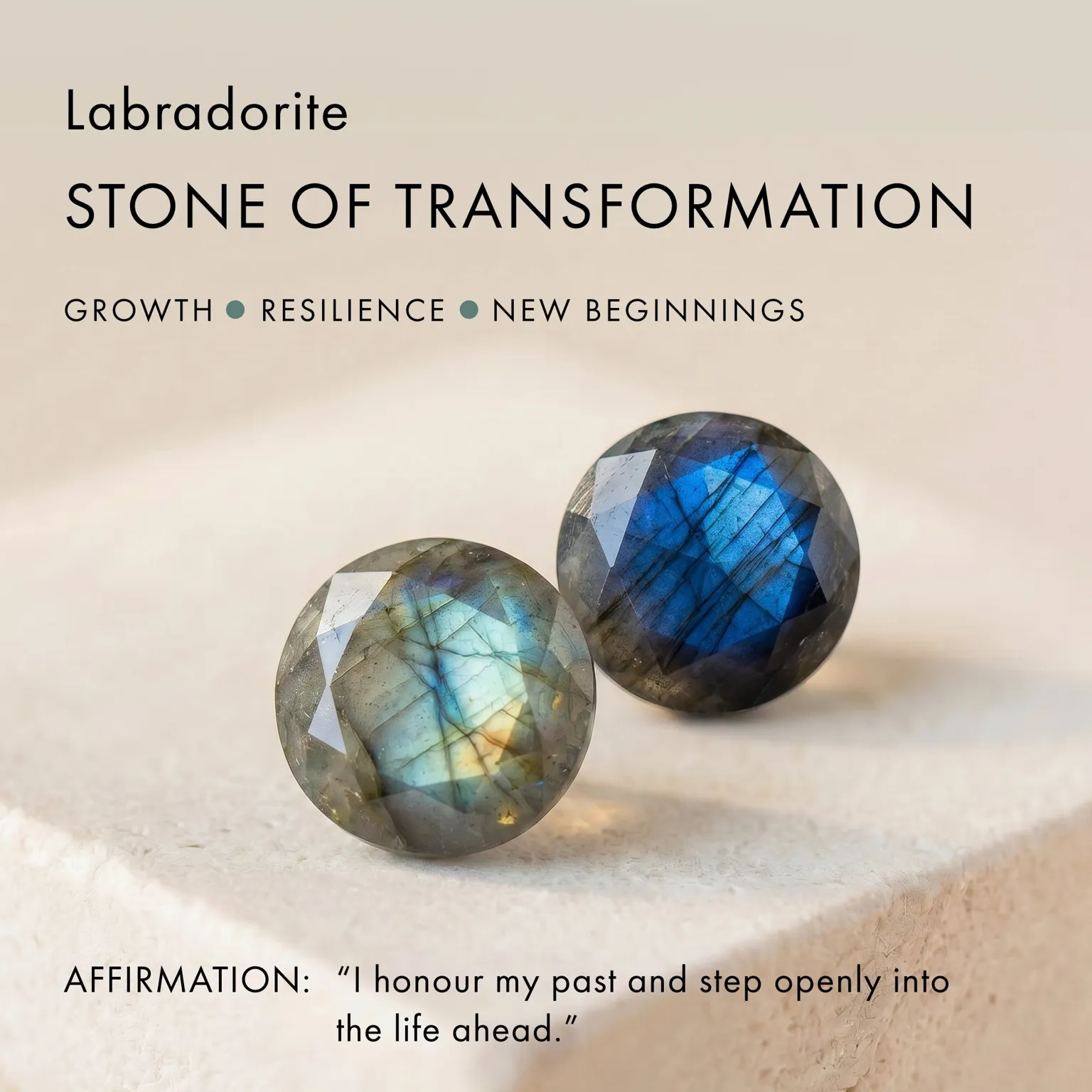 Labradorite Earrings - Circle Hoops